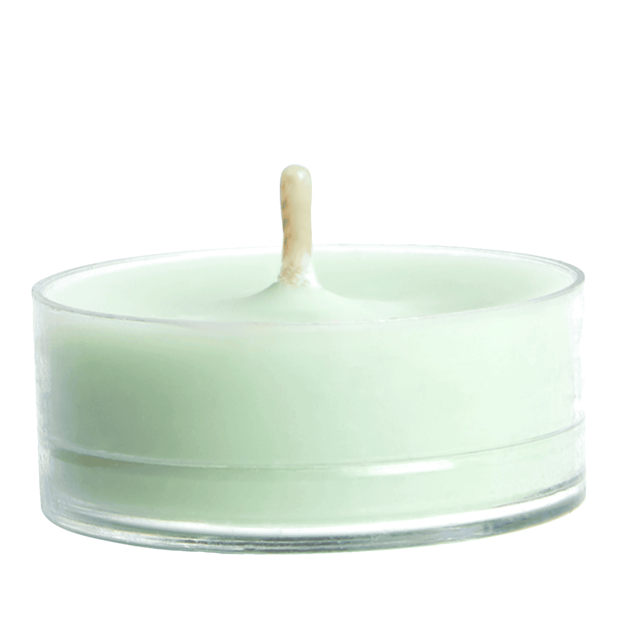 Citronella Mint Universal Tealight Candles