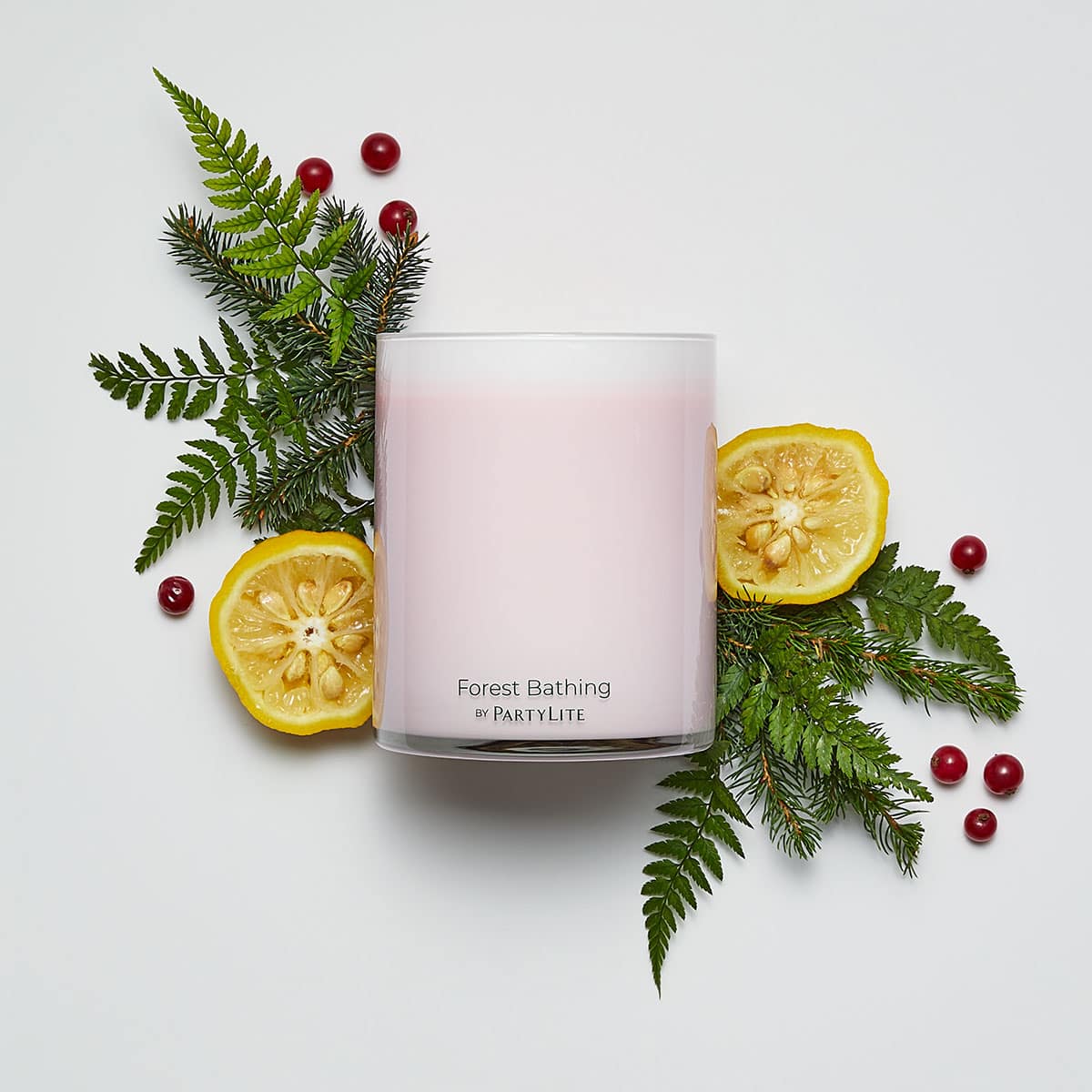 Forest Bathing Wild Woodland Berries 2-Wick Jar Candle