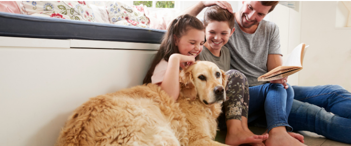Fragrancing Your Home Around Children and Pets