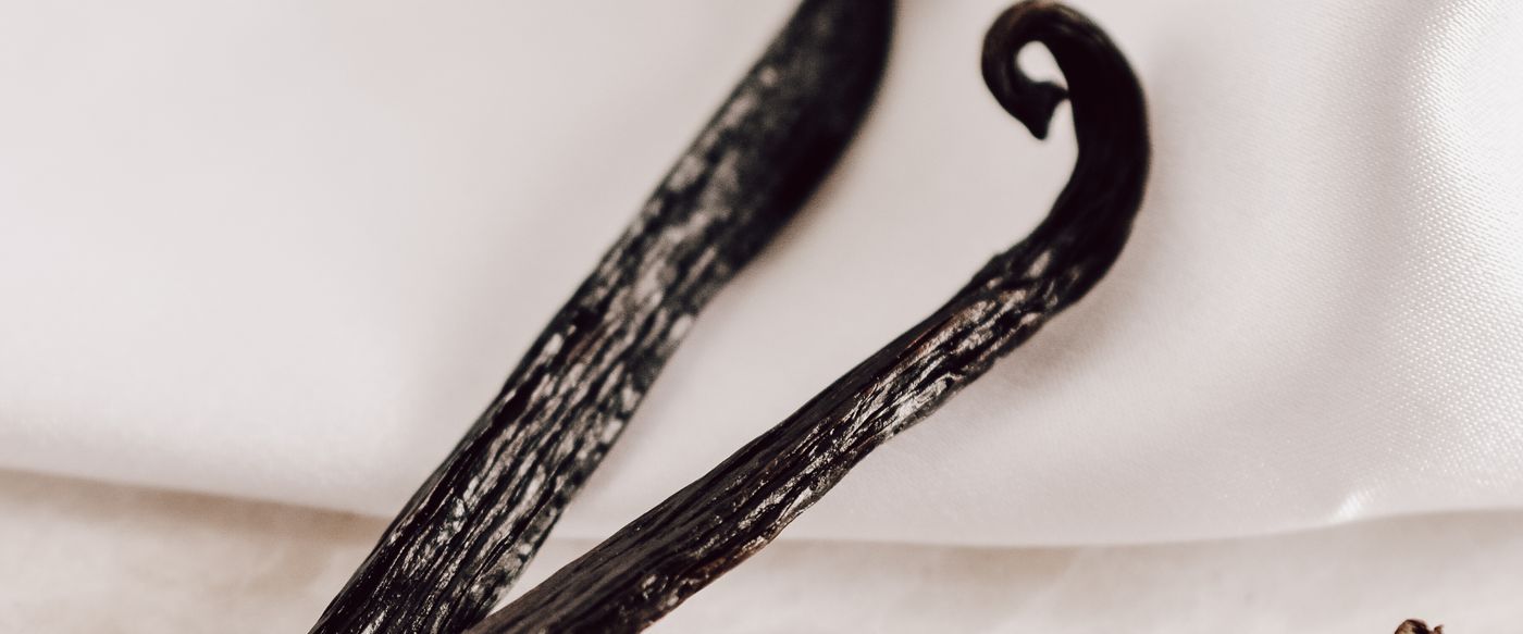 Close up of vanilla beans, the smell behind every sweet vanilla candle