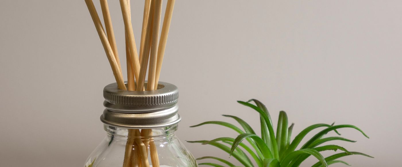 Reed diffuser beside a houseplant on a table, a safe spot for candle aroma oil