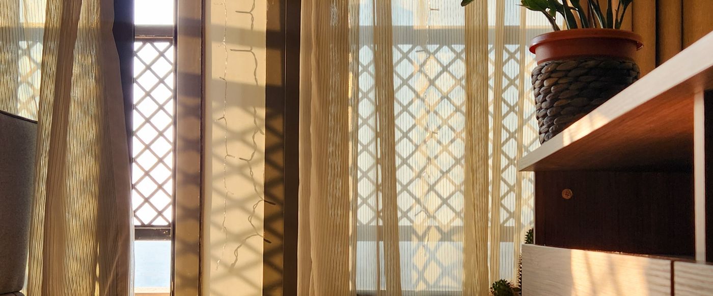 Sunlight through sheer curtains in a calm room with a plant for fresh linen melts