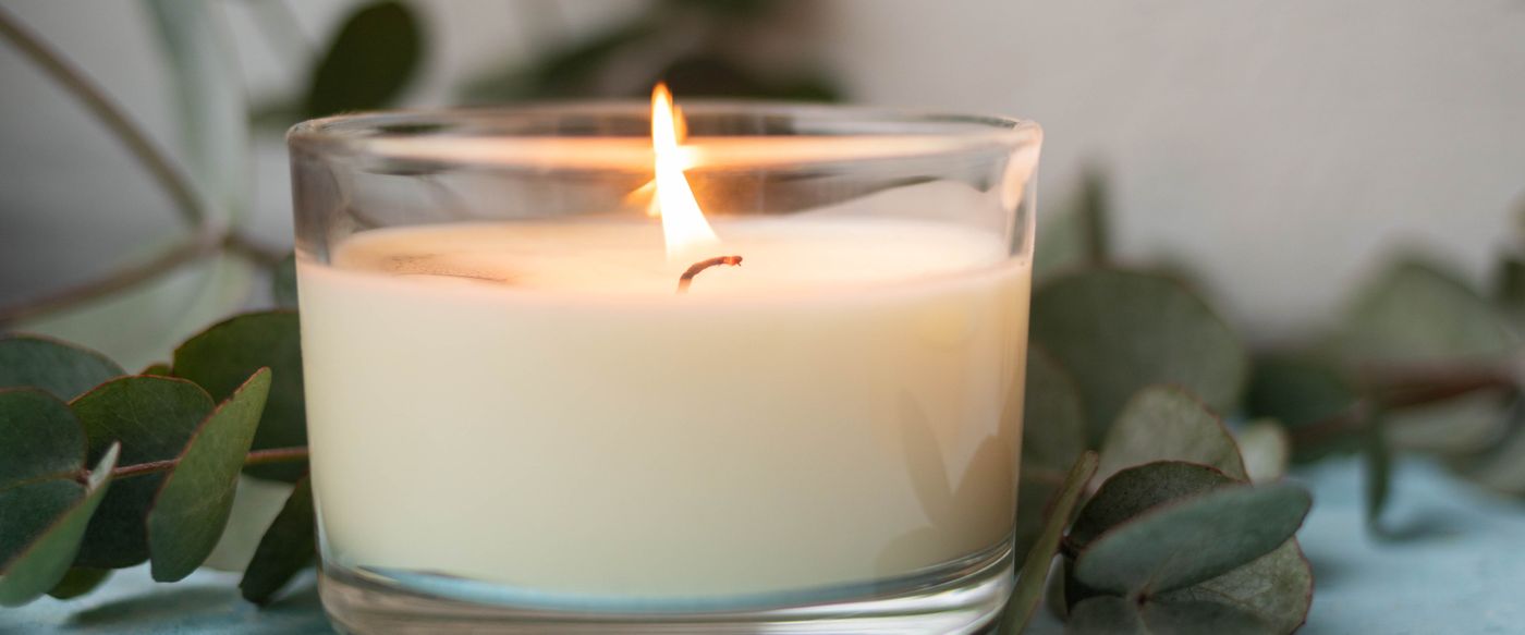 A lit candle surrounded by botanical ingredients, showing how a woody fragrance is built