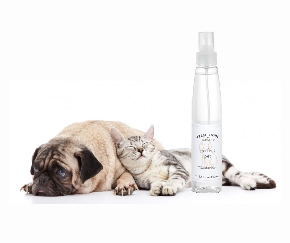 Fresh Home by PartyLite Perfect Pet Linen and Room Spray