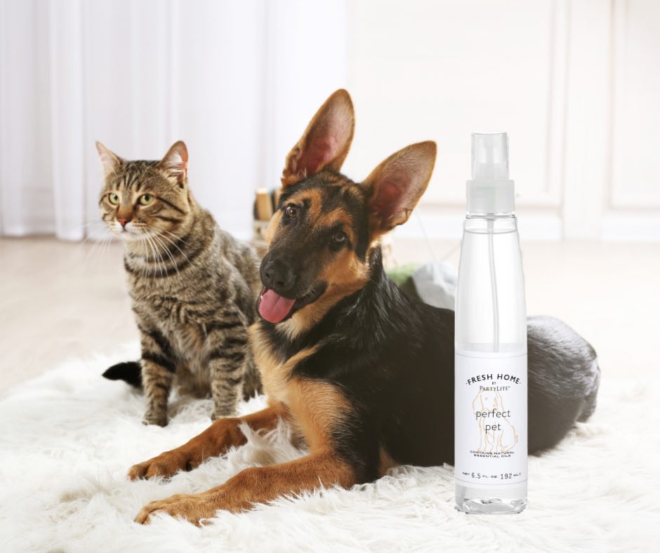 Fresh Home by PartyLite Perfect Pet Linen and Room Spray