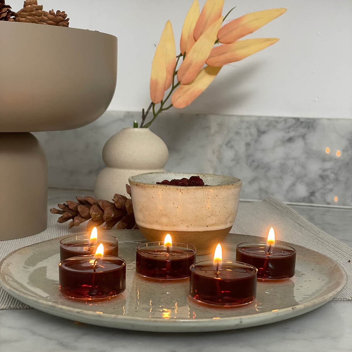 White Birch &amp; Currant Universal Tealight Candles