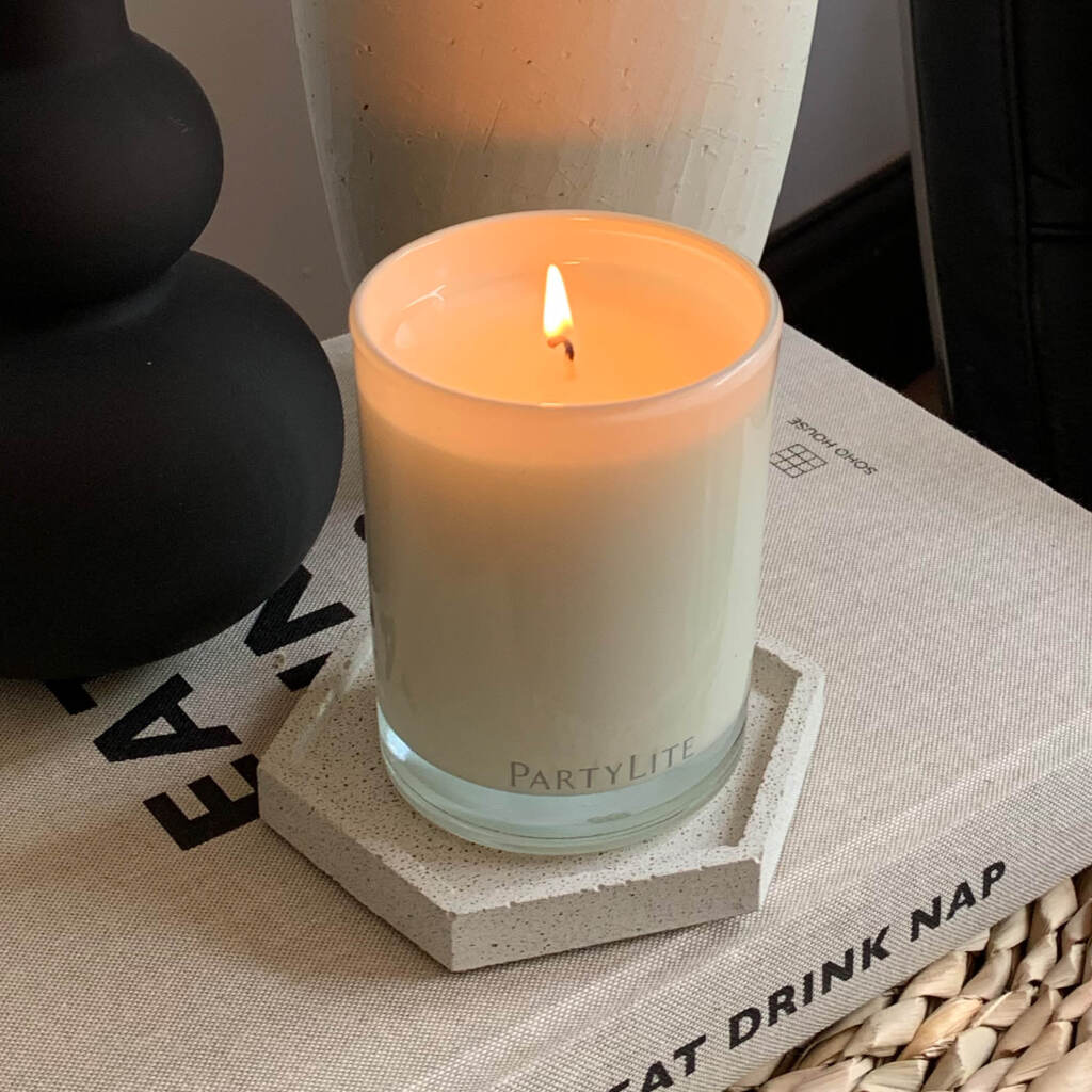 Iced Snowberries Escential Jar Candle
