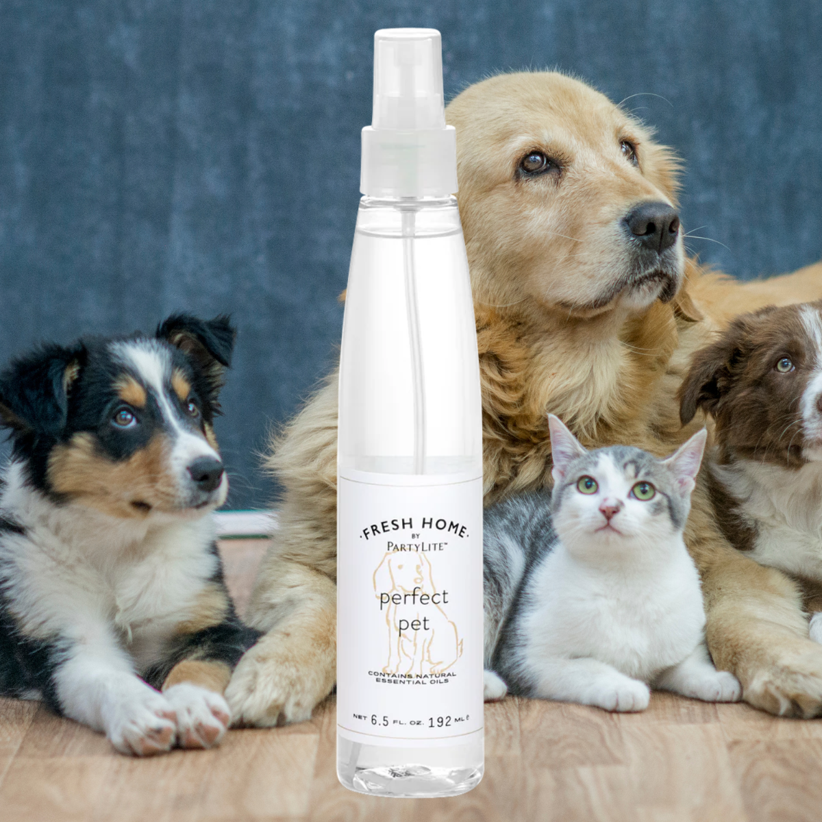Fresh Home by PartyLite Perfect Pet Linen and Room Spray