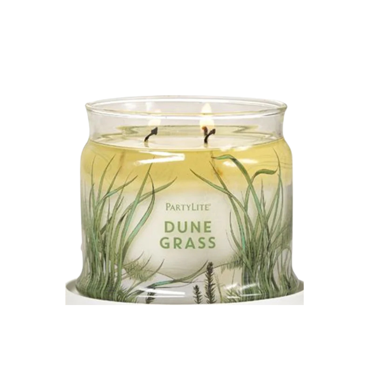 Dune Grass 3-Wick Jar Candle