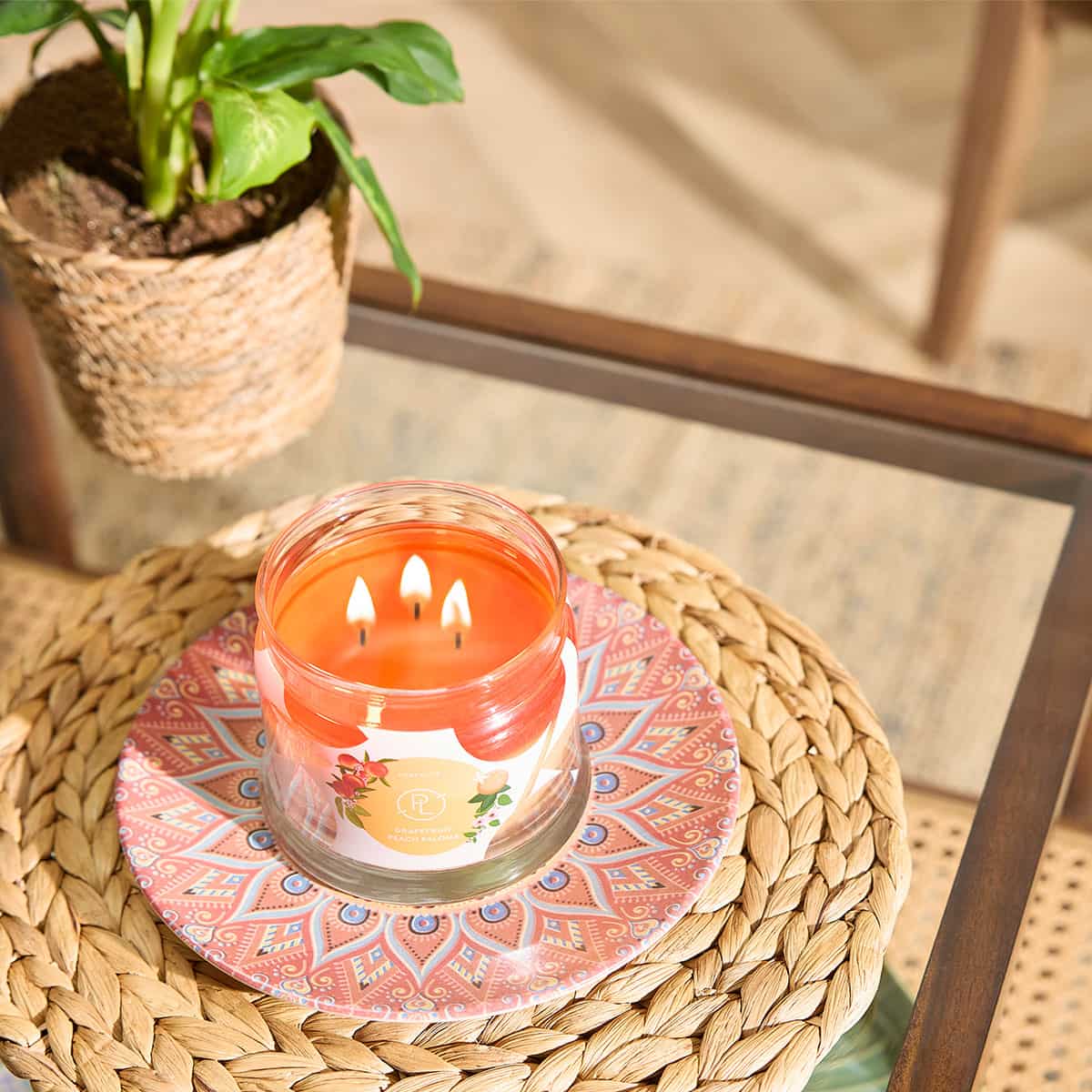 Grapefruit Peach Paloma 3-Wick Jar Candle