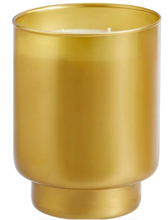 Iced Snowberries 2-Wick Jar Speciality Candle
