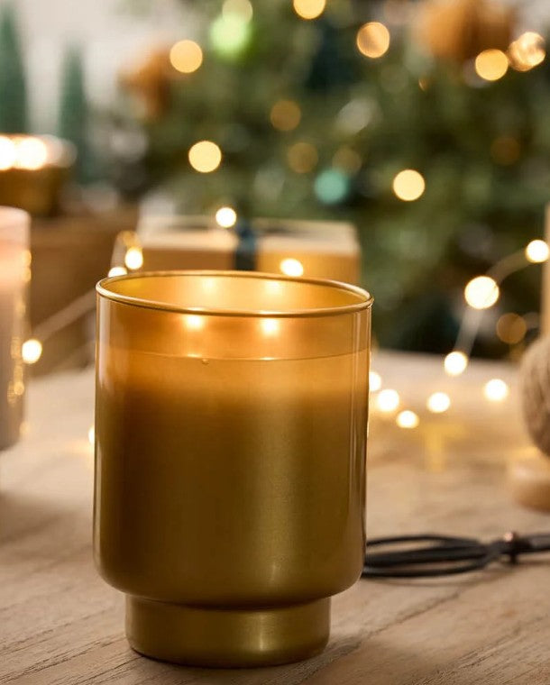 Iced Snowberries 2-Wick Jar Speciality Candle