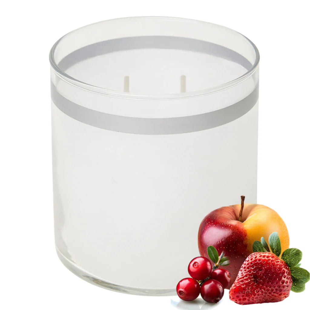 GloLite by PartyLite Iced Snowberries Scented 2-Wick Jar Candle