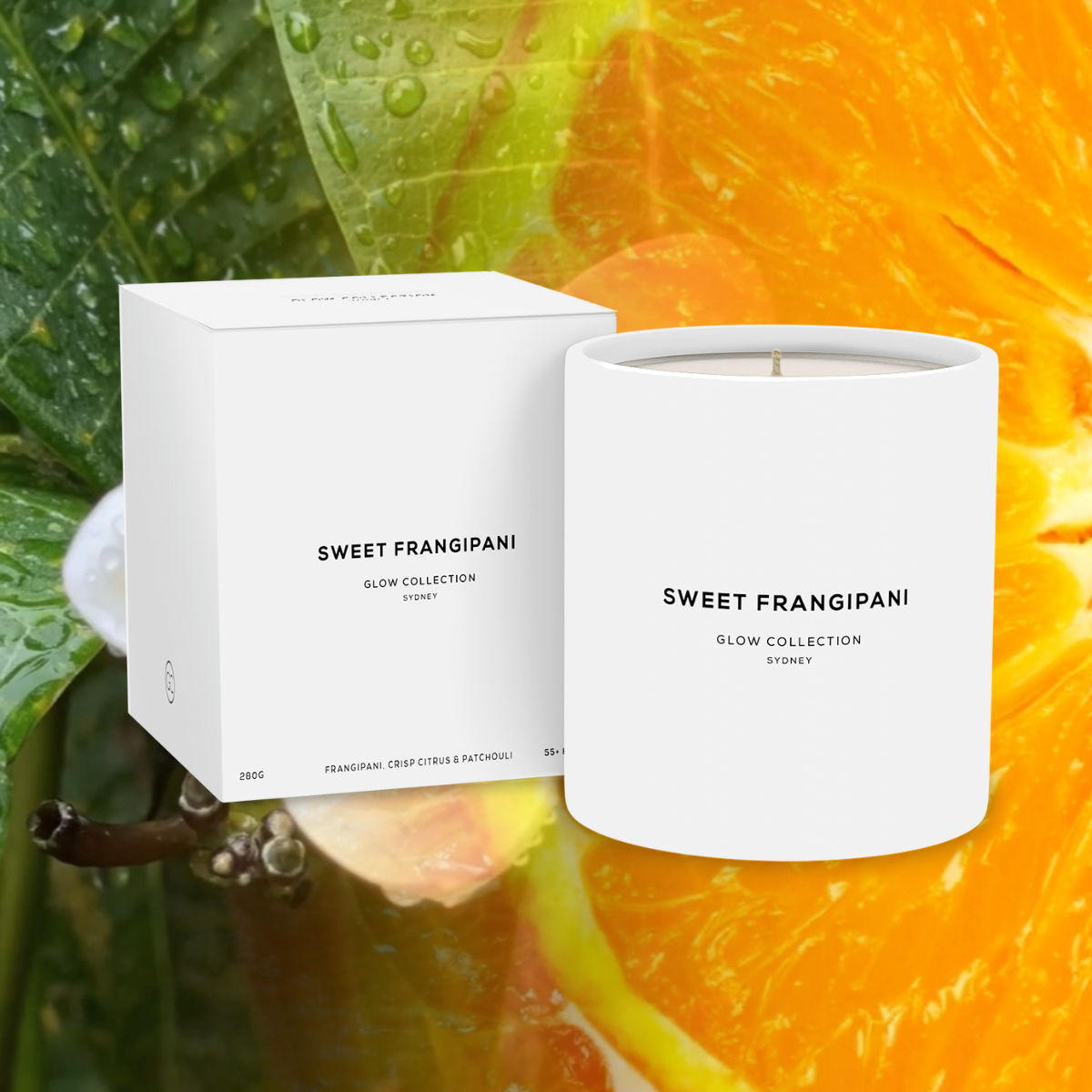 Sweet Frangipani - Signature Collection - Frangipani Scented Soy Candle 55hr Burn