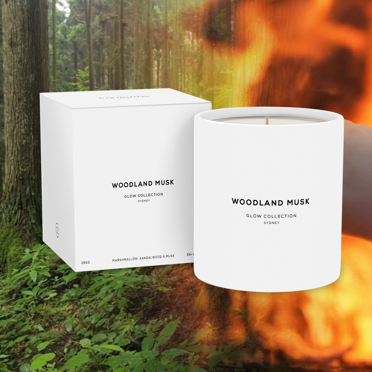 Woodland Musk - Signature Collection - Marshmallow &amp; Sandalwood Scented Soy Candle 55hr Burn