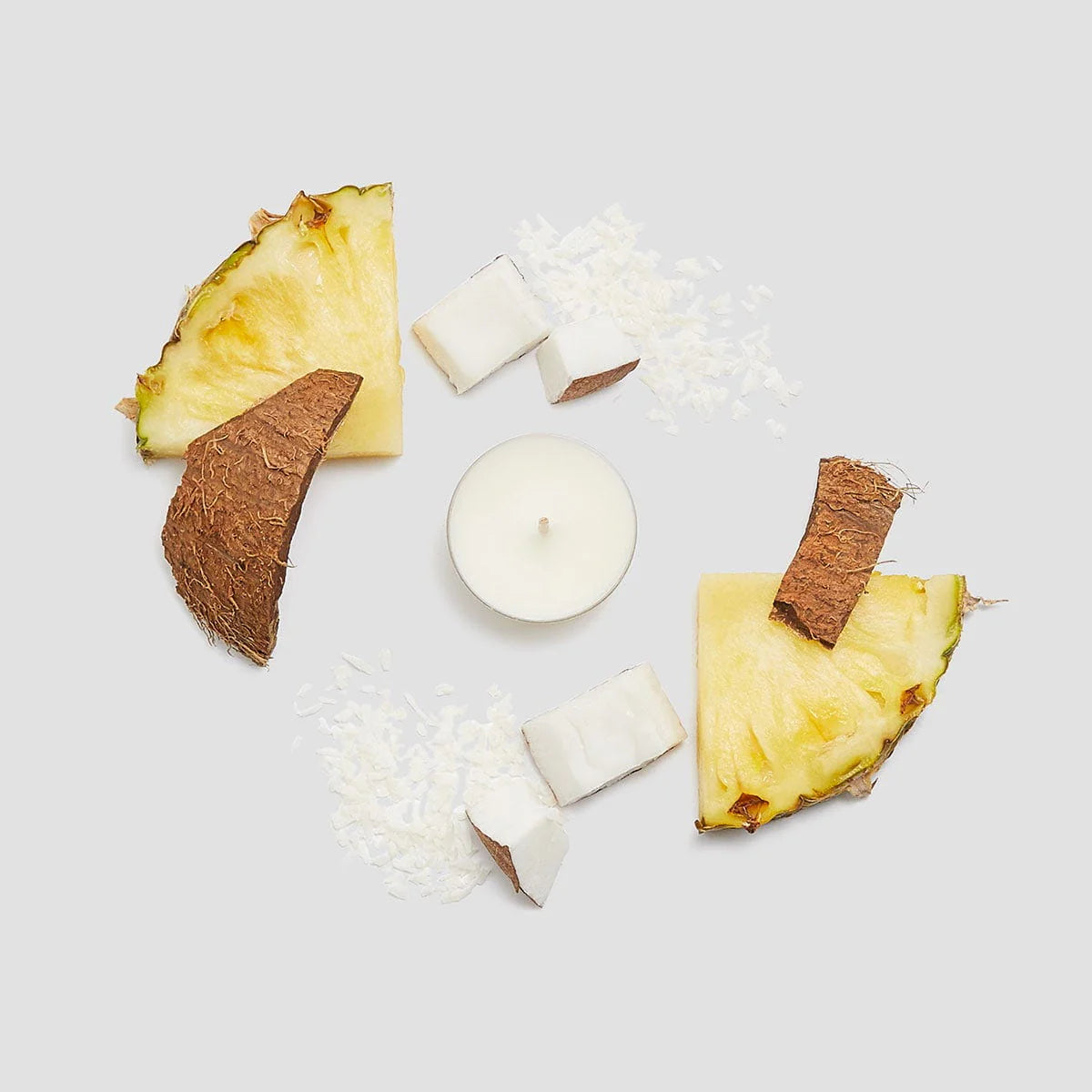 Coconut Cove Universal Tealight Candles