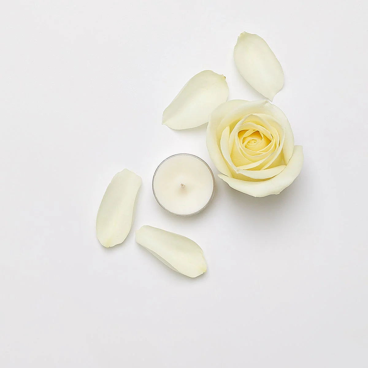 White Rose Universal Tealight Candles