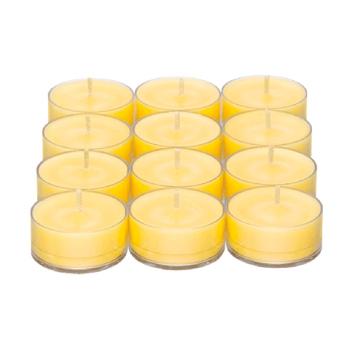 Merry Mimosa Universal Tealight Candles