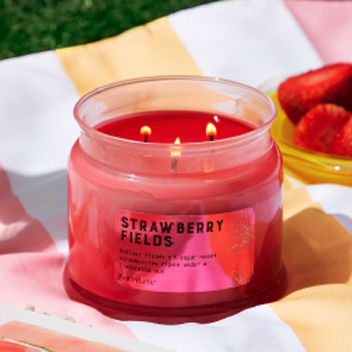 Strawberry Fields 3-Wick Jar Candle